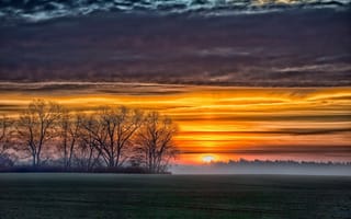Картинка поле, восход, природа, туман, дерево, закат