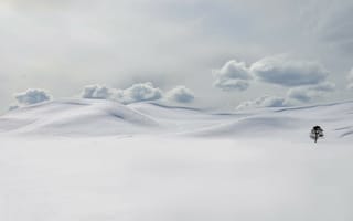 Картинка снег, холод, дерево, облака, сугробы, зима