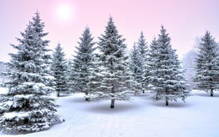 Картинка зима, пейзаж, природа