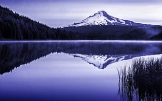 Картинка лес, гора, Oregon, природа, Trillium Lake, озеро