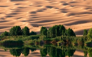Картинка Ливия, озеро, пустыня, караван, дюны, песок, деревья, оазис