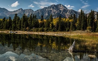 Картинка Alberta, Канада, озеро, отражение, Альберта, деревья, Canada, горы
