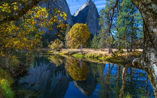 Картинка США, осень, Yosemite National Park, лес, деревья, Калифорния, горы, река