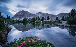 Картинка облака, зеркало, небо, деревья, Италия, пик, Доломиты, Limedes Озеро, цветы, отражение