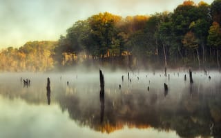 Картинка деревья, озеро, зеркало, отражение, небо, туман
