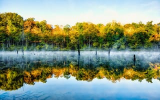 Картинка деревья, зеркало, туман, небо, отражение, озеро