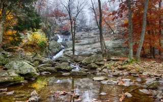 Картинка лес, ручей, осень, камни, скалы, деревья