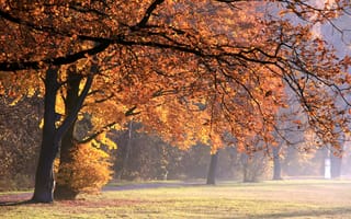 Картинка осень, парк, природа