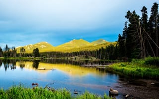 Картинка США, горы, лес, деревья, Rocky Mountain National Park, камни, Colorado, озеро, трава, берег