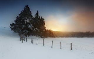 Картинка закат, небо, забор, деревья, зима, снег