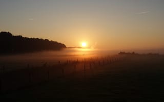 Картинка поле, утро, туман