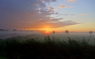 Картинка осень, туман, поле, утро