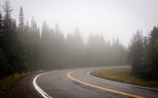 Обои дорога, пейзаж, туман
