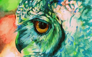 Картинка сова, краски, рисунок
