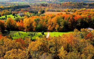 Картинка лес, Онтарио, дом, деревья, Halton Conservation, трава, Канада, природа, осень