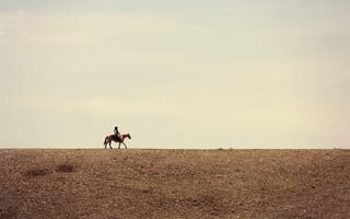 Картинка линия, лошадь, ковбой, небо, облака, ферма, горизонт, поле