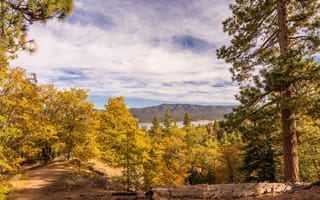 Обои США, озеро, деревья, Big Bear Lake, осень, Калифорния, горы