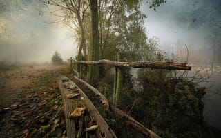Картинка природа, туман, осень