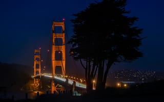 Картинка Калифорния, Сан-Франциско, ночь, California, Golden Gate Bridge, Золотые Ворота, дерево, San Francisco, огни, мост