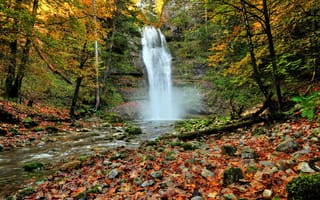 Обои лес, fall, nature, листья, forest, leaves, скалы, камни, autumn, trees, водопад, waterfall, Осень, деревья, листопад