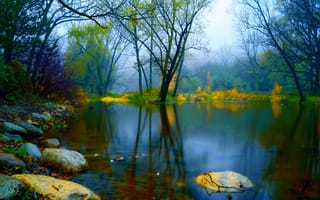Картинка осень, деревья, мгла, листва, туман, вода, грусть, камни, пруд, настроение