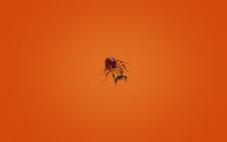 Картинка муравей, насекомое, минимализм, красноватый фон, ant