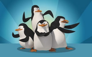 Картинка Madagascar, четыре, The Penguins madagascar, penguins