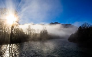 Картинка природа, туман, река, деревья