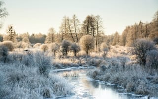 Обои зима, природа, река