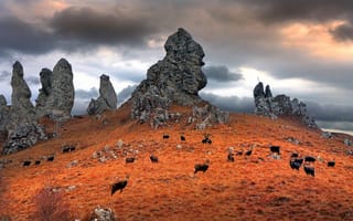 Картинка осень, скалы, трава, Ломбардия, горы, тучи, Италия, животные