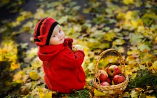 Картинка ребёнок, взгляд, листья, осень, парк, яблоки, корзина