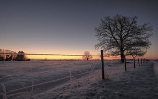 Картинка зима, забор, закат, поле