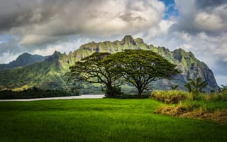 Картинка пейзаж, природа, Гавайи, Oahu, Hawaii, трава, река, облака, горы