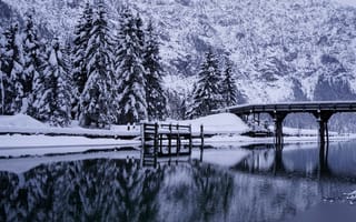 Картинка зима, деревья, ели, мост, река