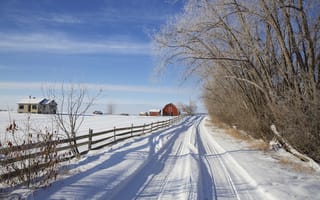 Картинка Канада, зима, забор, деревья, дорога, Альберта, снег, дом