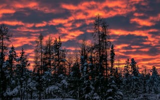 Картинка закат, зима, деревья, облака, небо, снег