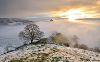 Картинка горы, дерево, туман, утро