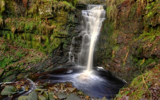 Картинка мох, скала, лес, Англия, Lead Mines Clough Waterfall, водопад, камни