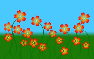 Картинка цветы, трава, лепестки, небо