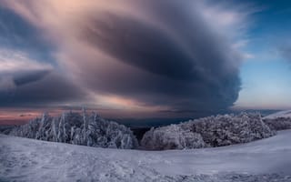 Картинка зима, снег, деревья, небо