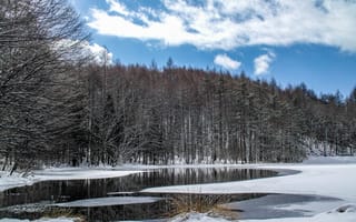 Картинка Япония, лес, деревья, зима, снег, река