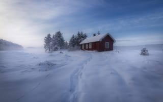 Обои зима, домик, деревья, Норвегия, снег