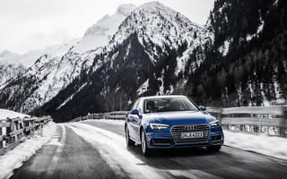 Обои Audi, quattro, ауди, синяя