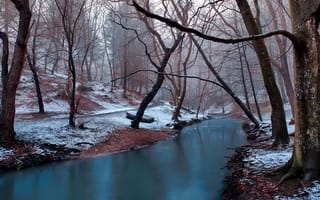 Картинка зима, река, деревья