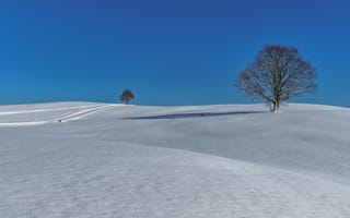 Картинка зима, деревья, Бавария, дорога, снег, холмы, Германия