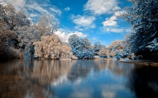 Картинка деревья, гладь, вода, снег, зима, облака, озеро