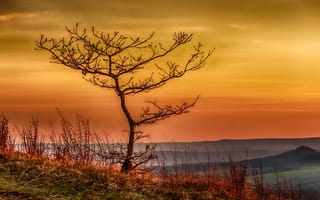 Картинка Тюрингия, дерево, горизонт, горы, зарево, осень, Германия, трава