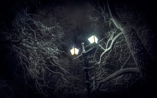 Картинка снег, фонарь, деревья