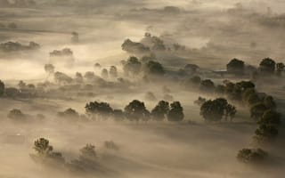 Картинка деревья, Франция, Центральный массив, туман
