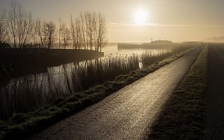 Картинка дорога, утро, туман, канал